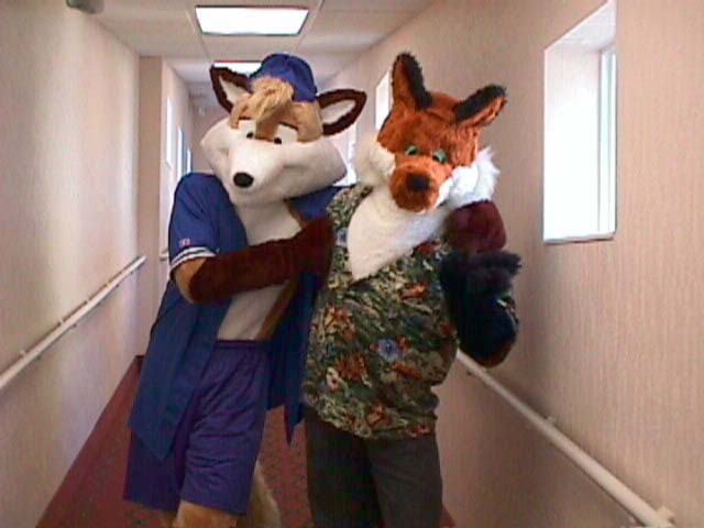 [two-foxes2.jpeg]