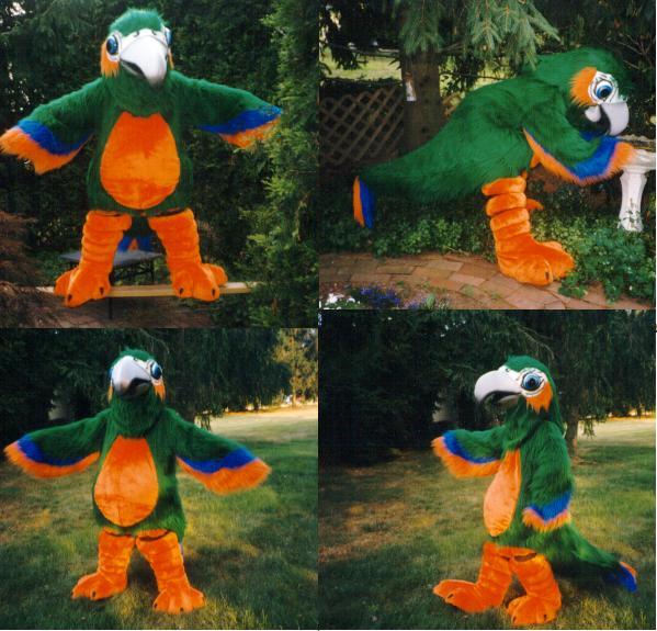 [mjbparrot.jpg]