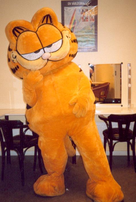 [Garfield 6.jpg]