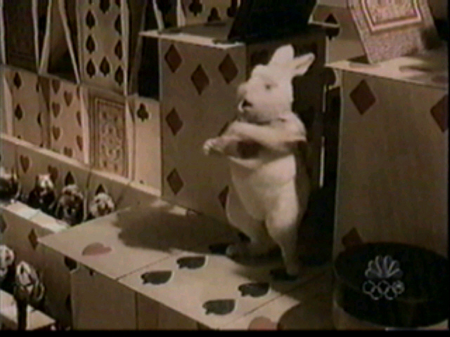 [bunny.JPG]