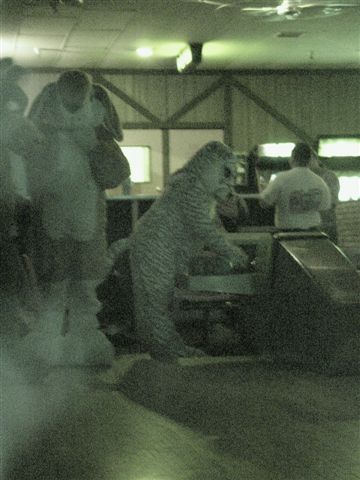 [20020328_FursuitBowling_38.jpg]