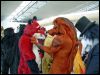 [MortonFox AC2006 Fursuit parade at the bridge-fd0000]