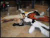 [TwitchDaWoof AC2006 047]