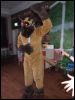 [Mikepaws Confuzzled2008 200]