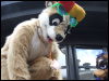 [Mikepaws Confuzzled2008 210]