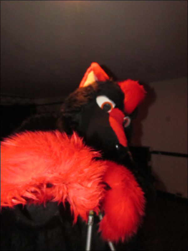 [Devilwuff_CF2012_366.jpg]