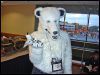[MortonFox FF2005 Sym and Eco Polar Bear TB]
