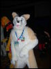 [Convoy FWA2008 051]