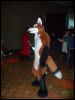 [Convoy FWA2008 052]