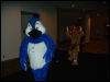 [Convoy FWA2008 060]