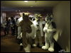 [WildBillTX FWA2010 037]