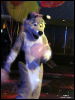 [WildBillTX FWA2010 042]