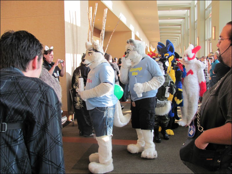 [StuntTiger_MFF2009_040.jpg]