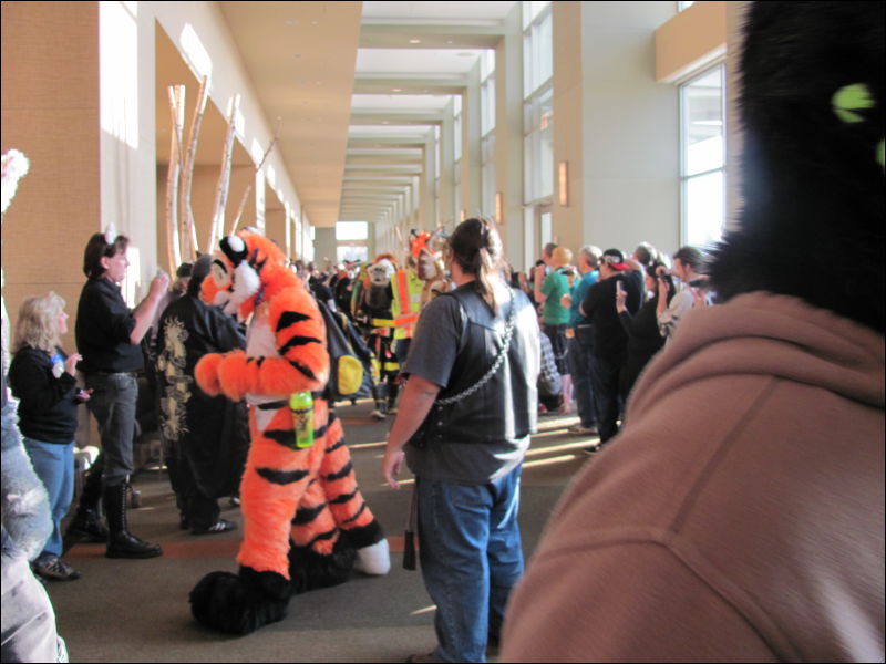 [StuntTiger_MFF2009_050.jpg]