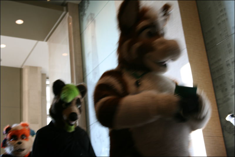 [StuntTiger_MFF2009_141.jpg]