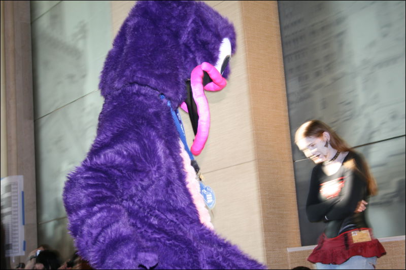 [StuntTiger_MFF2009_248.jpg]