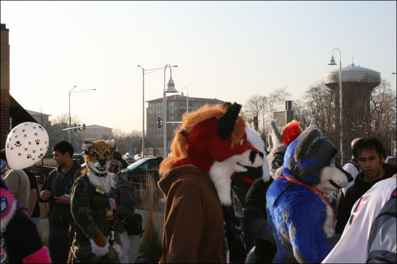 [StuntTiger_MFF2009_270.jpg]