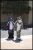 [Dattas RMFC2011 40]