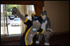 [Dattas RMFC2011 50]