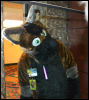 [Dattas RMFC2011 68]