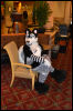 [Dattas RMFC2011 8]