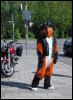 [Fursuit you didnt know my bike]
