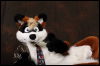 [Confuzzled 2010 Photoshoot 102]