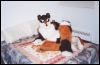 [furbo-on-the-bed]