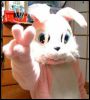 [p rabbit]