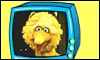 [BIGBIRD1]