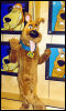 [Scooby2]