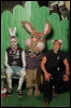 [easter bunny]