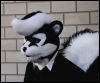 [serious skunk 01]