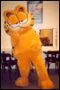 [Garfield 6]