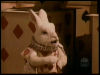[bunny6]