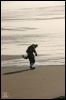 [daiquiri beach beachdog]