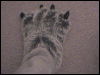 [feet1]