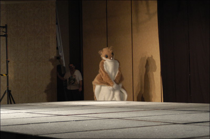 [squirrel on stage15.jpg]