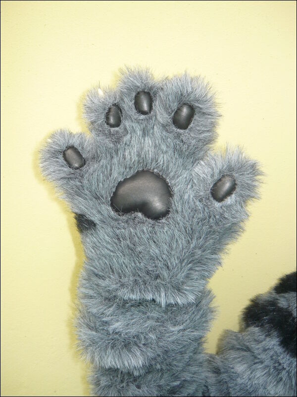 [paw.JPG]