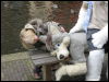 [Keenora 20080301 Delft 068]