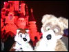 [DisneylandParis Halloween2005 102]
