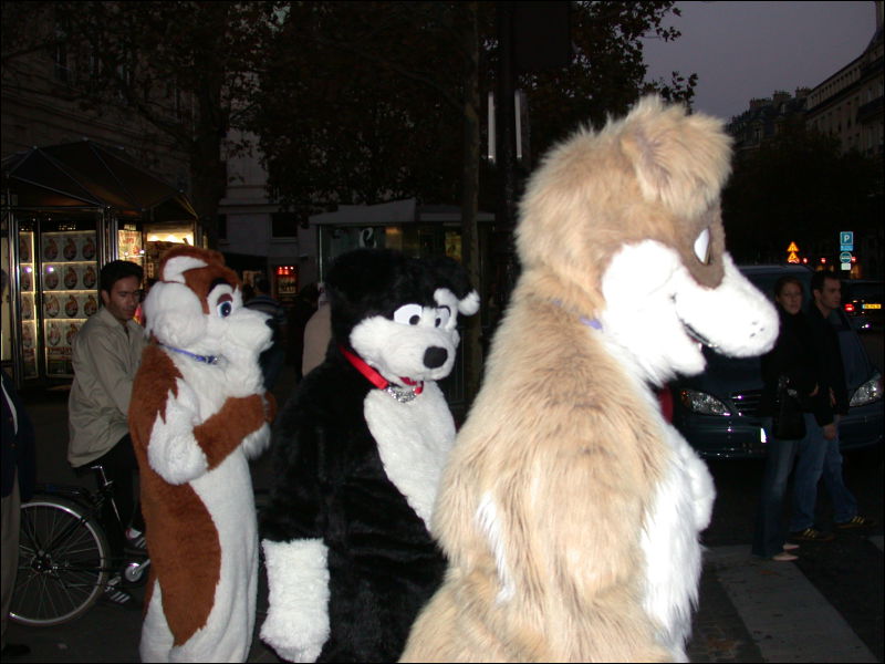 [20051029_ScritchPippinYagfox_31_ChampsElysees.jpg]