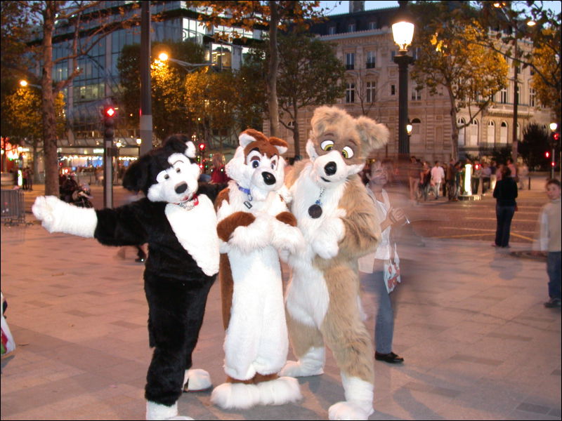 [20051029_ScritchPippinYagfox_50_ChampsElysees.jpg]