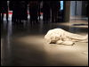 [Djahai_Pompidou2012_74275.JPG]