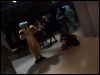 [Djahai_Pompidou2012_74396.JPG]
