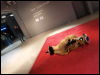 [Djahai_Pompidou2012_74465.JPG]