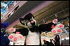 [Djem_Pompidou2012_28_04.jpg]