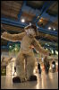 [Djem_Pompidou2012_28_28.jpg]
