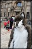 [SFD-10-Fursuitwalk-Harko (62)]