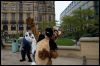 [ExiledWolf 20070407 Sheffield 55]